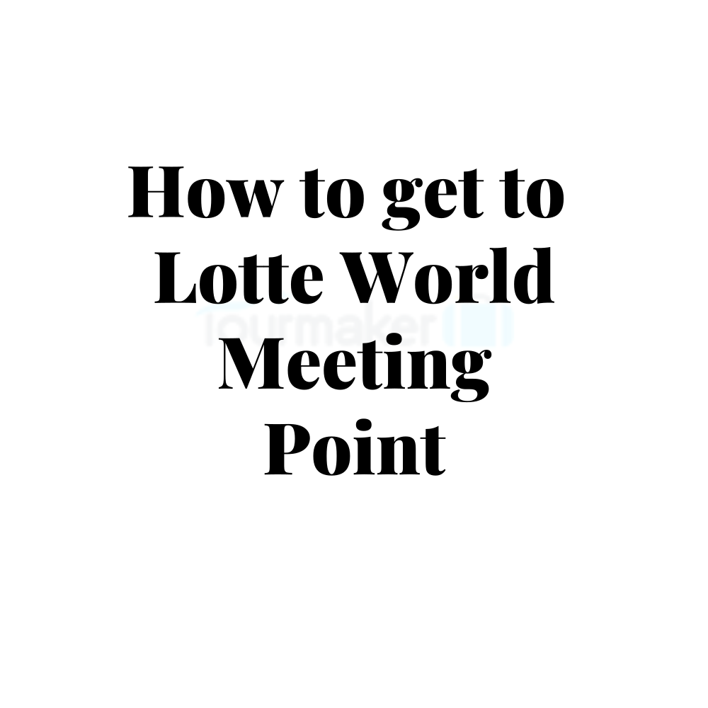 How to get to  Lotte World Meeting Point(Main gate)