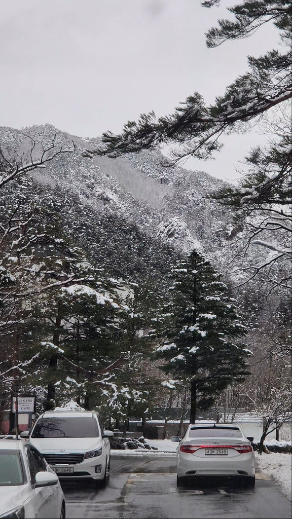 The weather seems to be getting weirder. - Snow at the end of March